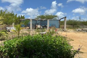 Kaya Salsa huis yard 3