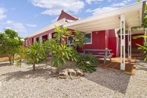 2 kaya sinfonia-true media culture-15