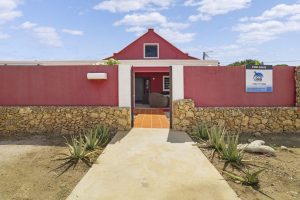 20 kaya sinfonia-true media culture-08