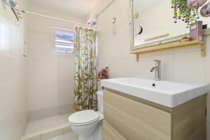 6 kaya sinfonia-true media culture-51 6 kaya sinfonia-true media culture-51