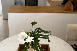 Kaya Soninia 2 kitchen