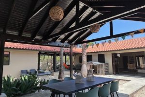 Sabal Palm 76 B - Garden 2