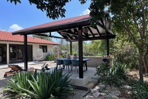 Sabal Palm 76 B - Garden 3
