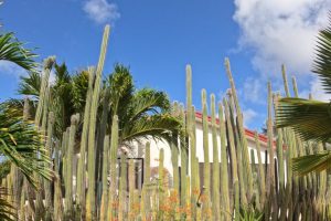 6. Kleine porch vanaf SS 14