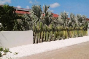 Voorgevel zonder auto